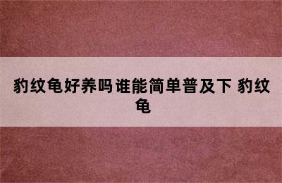 豹纹龟好养吗谁能简单普及下 豹纹 龟